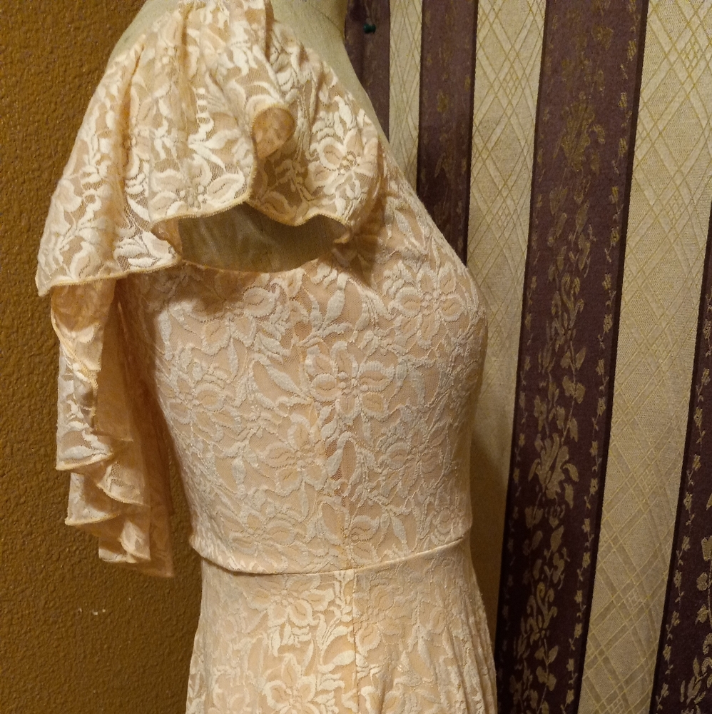 Disney Cinderella pink lace fit and flare dress